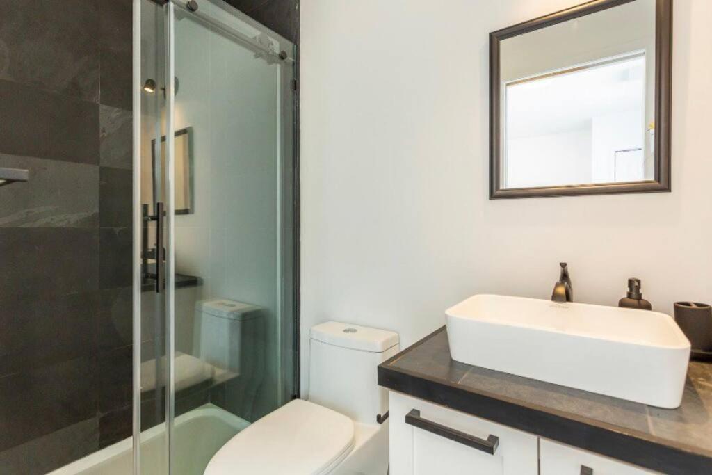 Appartement Superbe 2bdr Avec Terrasse